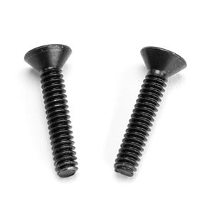 XP10 Gun Valve Body Screw (2pk)